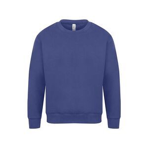 Casual Original Mens Sweatshirt / Royal